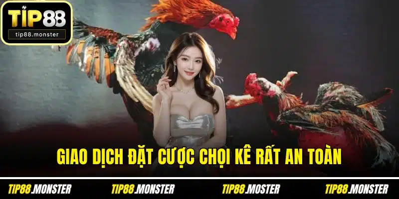 Giao dịch đặt cược chọi kê rất an toàn
